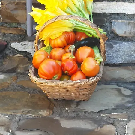 Casa Ilaria Apartamento Diano Marina