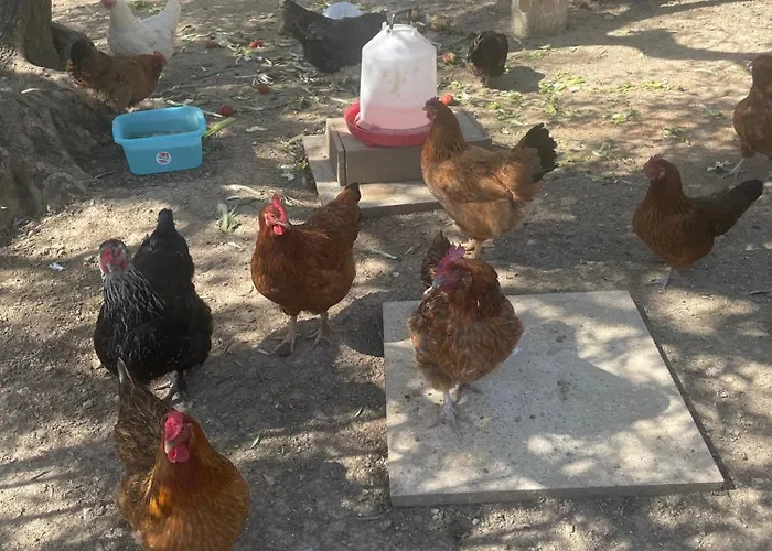 Casa Ilaria Apartment