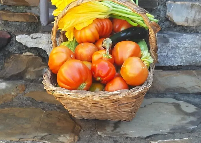 Casa Ilaria Apartment Diano Marina