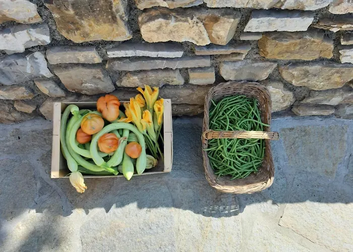 Apartment Casa Ilaria