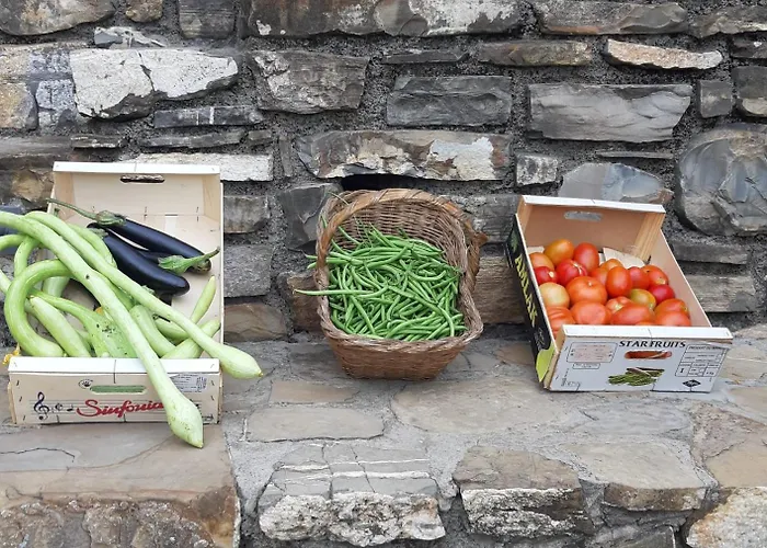 Apartment Casa Ilaria *